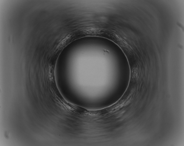 X0000093441202200710121326