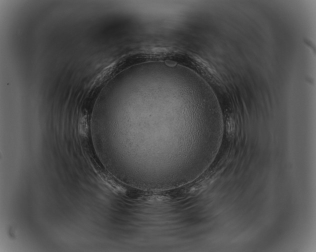 X0000093441204200710121326