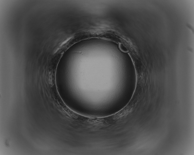 X0000093441205200710121326