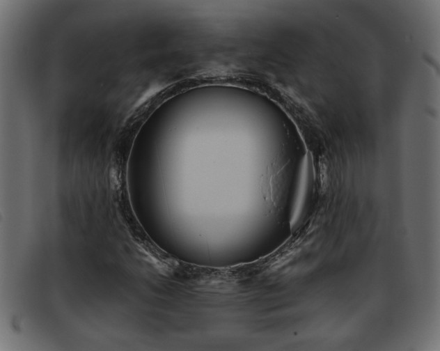 X0000093441206200710121326