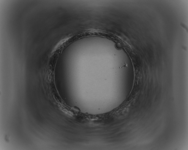X0000093441207200710121326