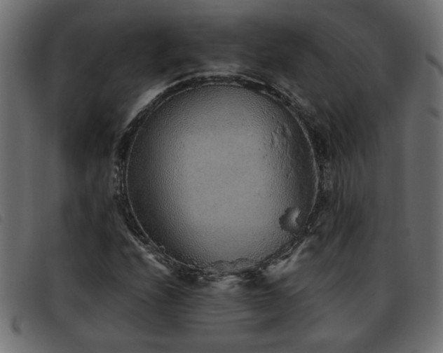 X0000093441208200710121326