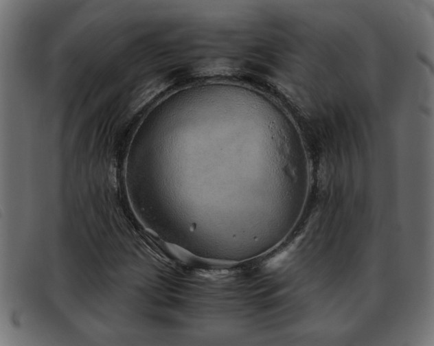 X0000093441209200710121326