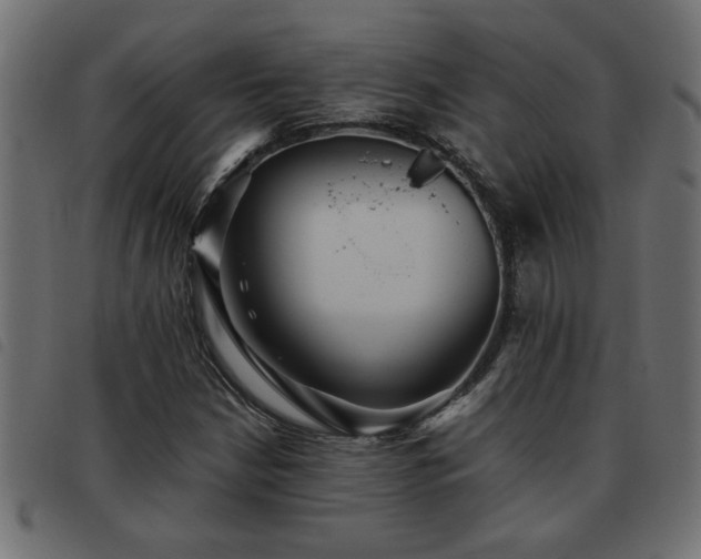 X0000093441210200710121326