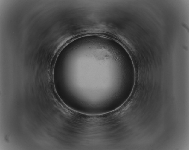 X0000093441212200710121326