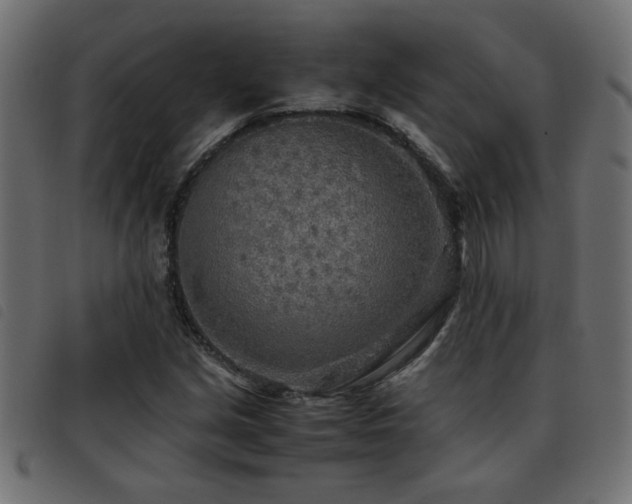 X0000093441213200710121326