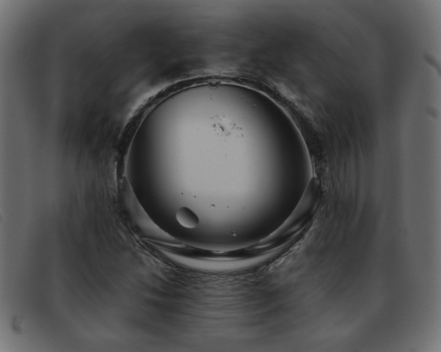 X0000093441214200710121326