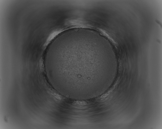 X0000093441215200710121326