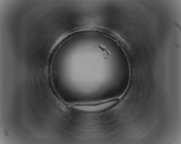 X0000093441216200710121326