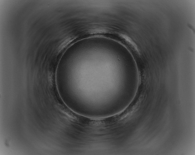 X0000093441217200710121326