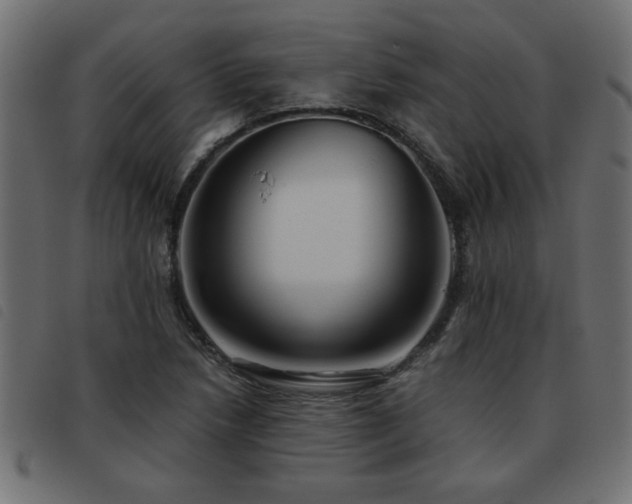 X0000093441218200710121326