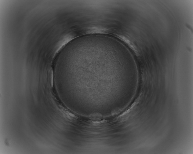 X0000093441219200710121326