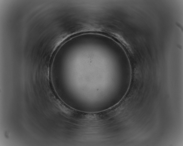 X0000093441220200710121326