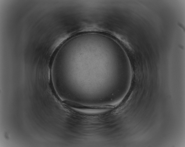 X0000093441221200710121326
