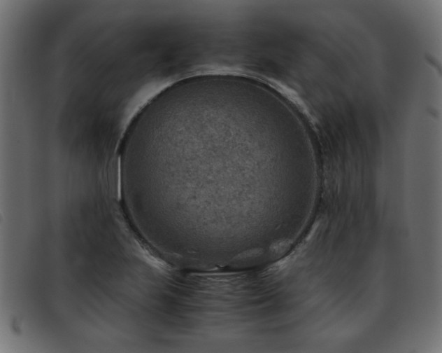 X0000093441223200710121326