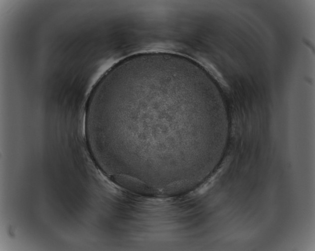 X0000093441224200710121326