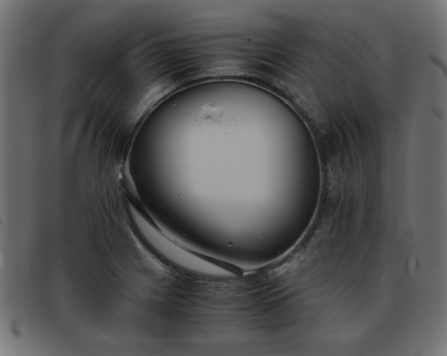 X0000093441225200710121326