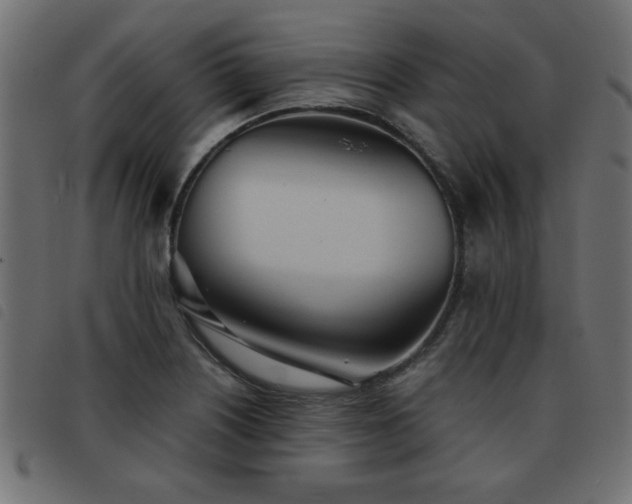 X0000093441226200710121326