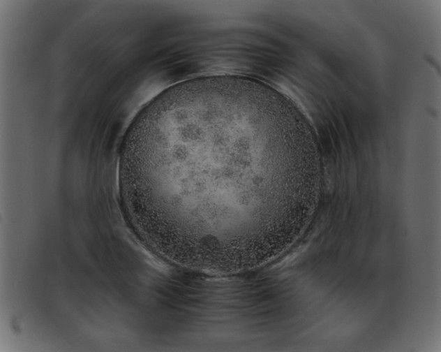 X0000093441227200710121326