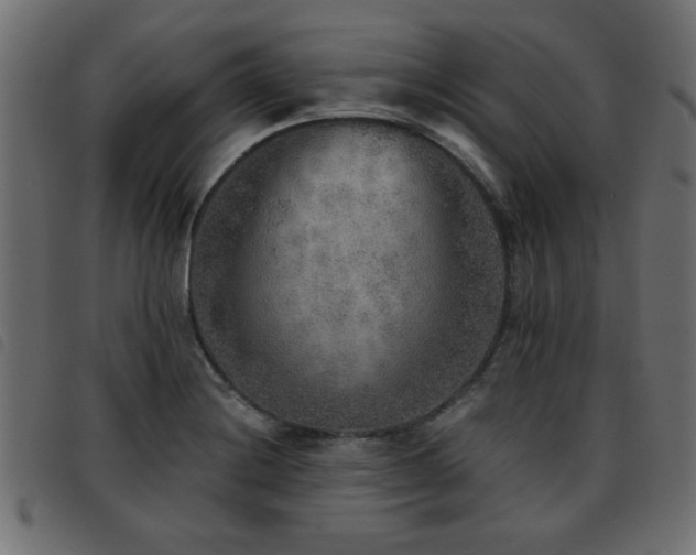 X0000093441228200710121326