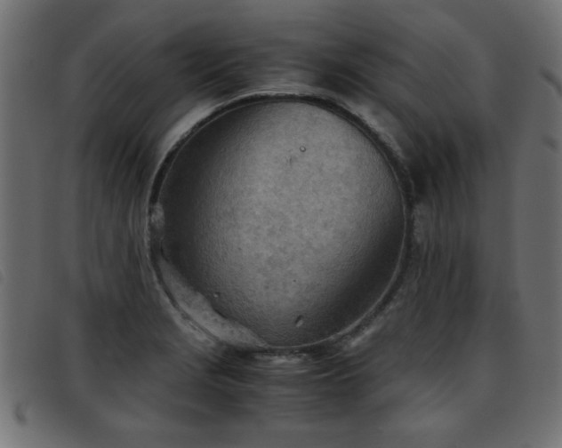 X0000093441229200710121326