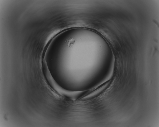 X0000093441230200710121326