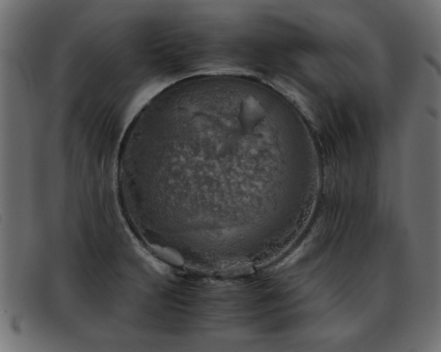 X0000093441231200710121326