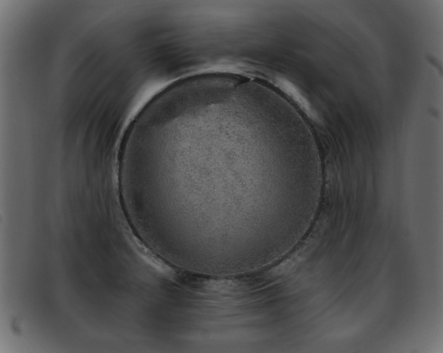 X0000093441232200710121326