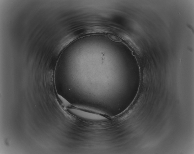 X0000093441233200710121326