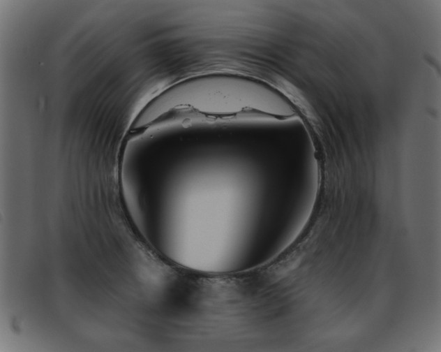 X0000093441234200710121326