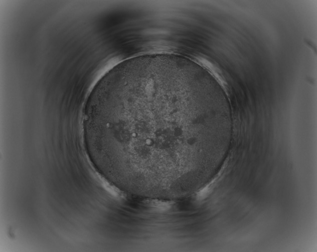 X0000093441235200710121326