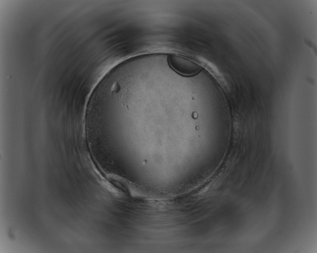 X0000093441236200710121326