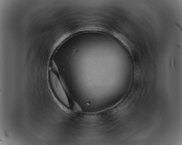 X0000093441237200710121326