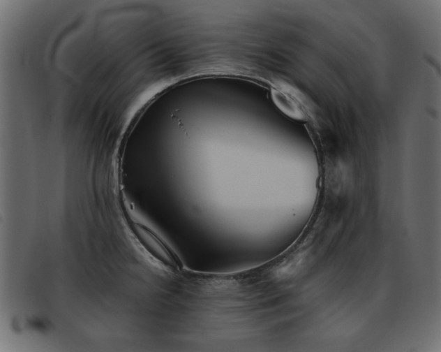 X0000093441238200710121326