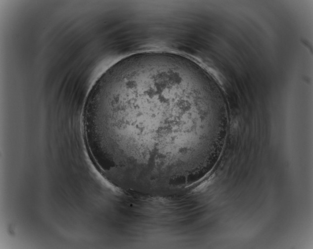 X0000093441239200710121326
