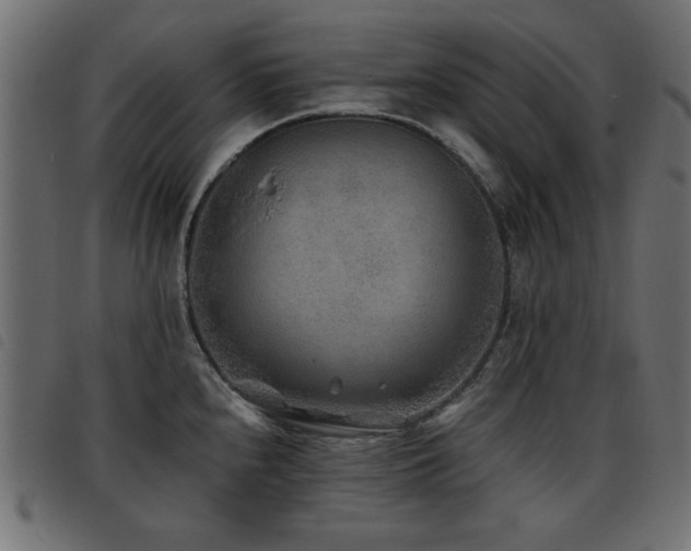 X0000093441240200710121326
