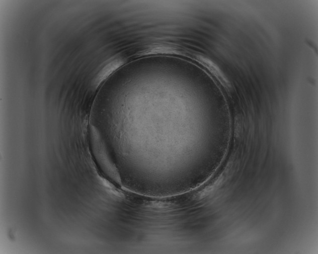 X0000093441241200710121326