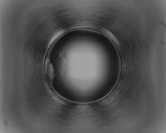 X0000093441242200710121326