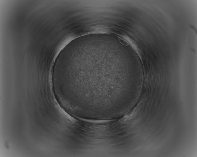 X0000093441243200710121326