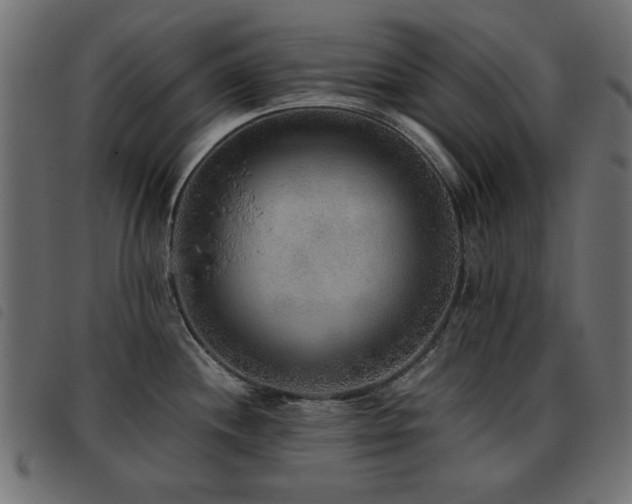 X0000093441244200710121326