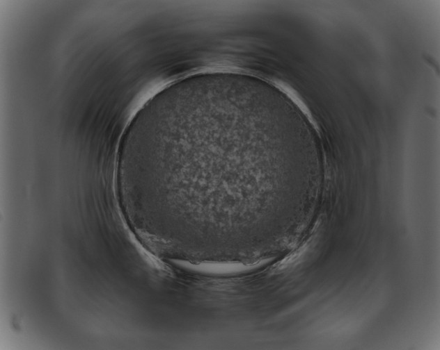X0000093441245200710121326