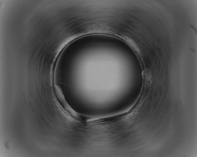 X0000093441246200710121326