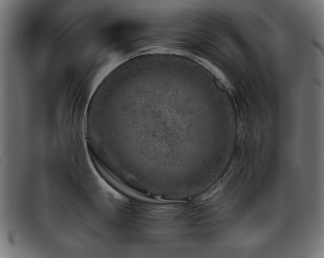 X0000093441247200710121326