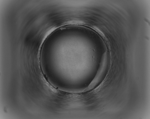 X0000093441248200710121326
