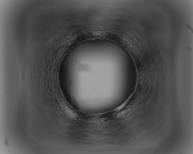 X0000093441249200710121326