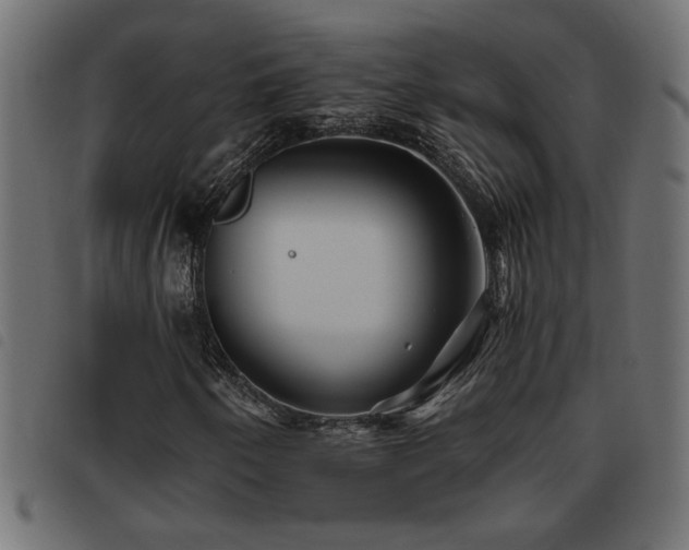 X0000093441250200710121326