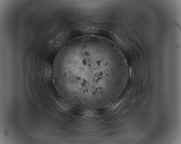 X0000093441251200710121326