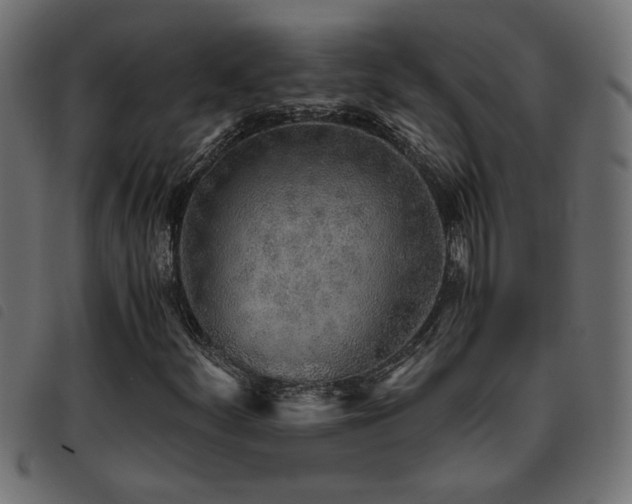 X0000093441252200710121326