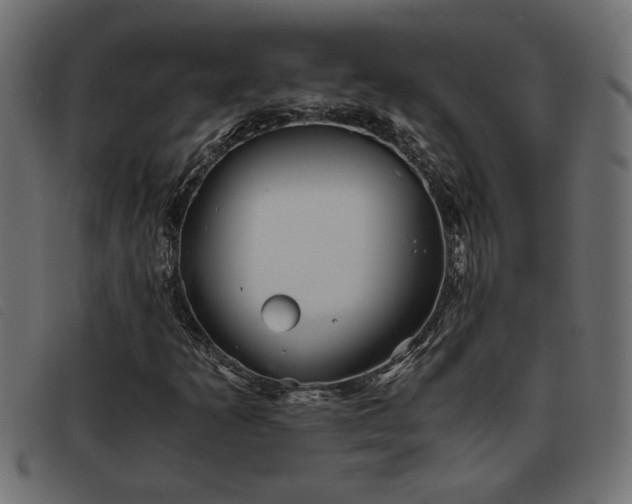 X0000093441253200710121326