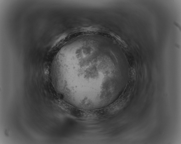 X0000093441254200710121326